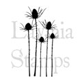 thumbnail image 1 of Lavinia Stamps - Silhouette Thistle, 1 of 1