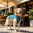 thumbnail image 5 of Dog Cooling Vest for Dogs, Lightweight Dog Cooling Harness Shirt , Breathable Mesh Cooler Jacket Pet Cool Vest for Small Medium Large Dogs Summer Hot Weather, Pink Or Blue Multi-Size, 5 of 8
