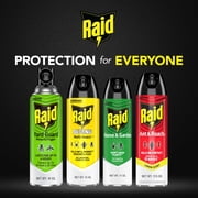 Raid Defense System Indoor and Outdoor Ants, Roaches, Spiders and Flies Insect Killer Bug Spray, 15 oz