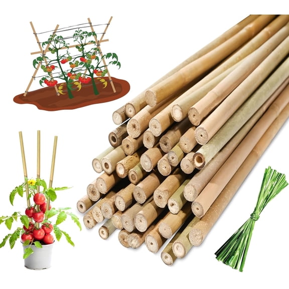 20Pcs 17.7 Inches Natural Bamboo Plant Stakes, Bexikou Garden Support Sticks with Twist Ties for Indoor & Outdoor, Tomato Beans Potted Vegetable Stakes