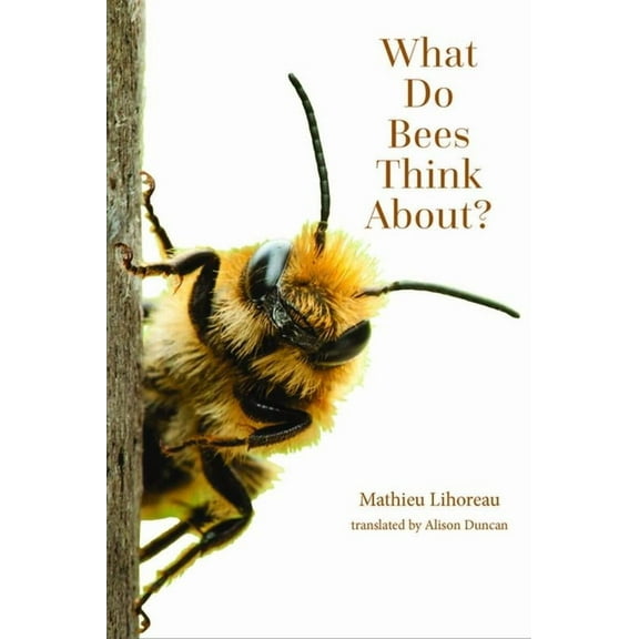 Animal Worlds What Do Bees Think About?, (Paperback)