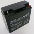 thumbnail image 1 of PowerStar PS12-22-207 12V 18Ah Lead Acid Battery, 1 of 1