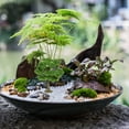 thumbnail image 4 of PAMINGONO 1Pcs Model Tree Green Iron Wire PVC for Enhancement Scenery Decoration, 4 of 8