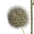 thumbnail image 1 of Vickerman Vickerman 31" Green Pom Pom Spray 3/Pk - FV193904, 1 of 2