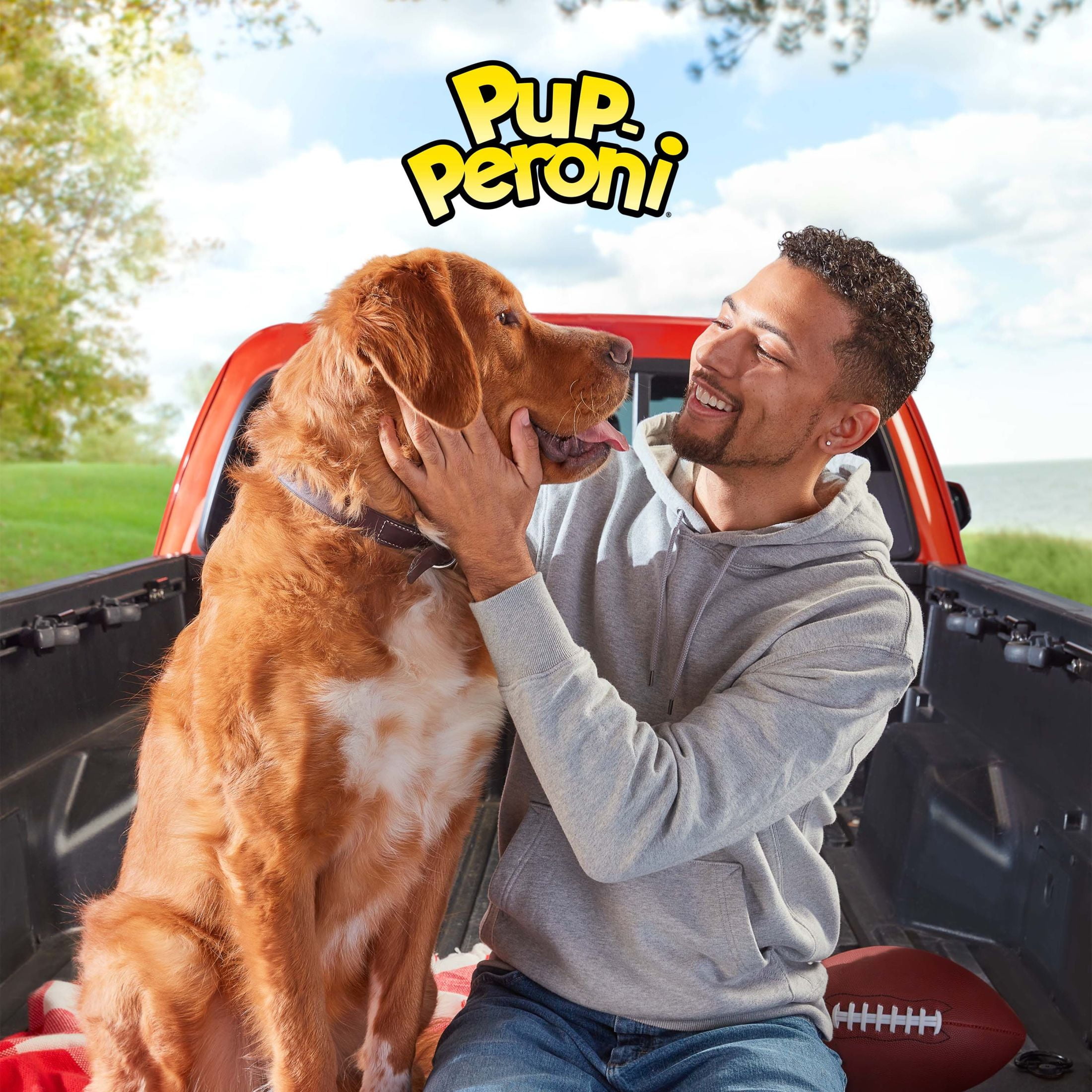 (2 pack) Pup Peroni Original Beef Recipe Dog Treats, 22.5 oz Bag
