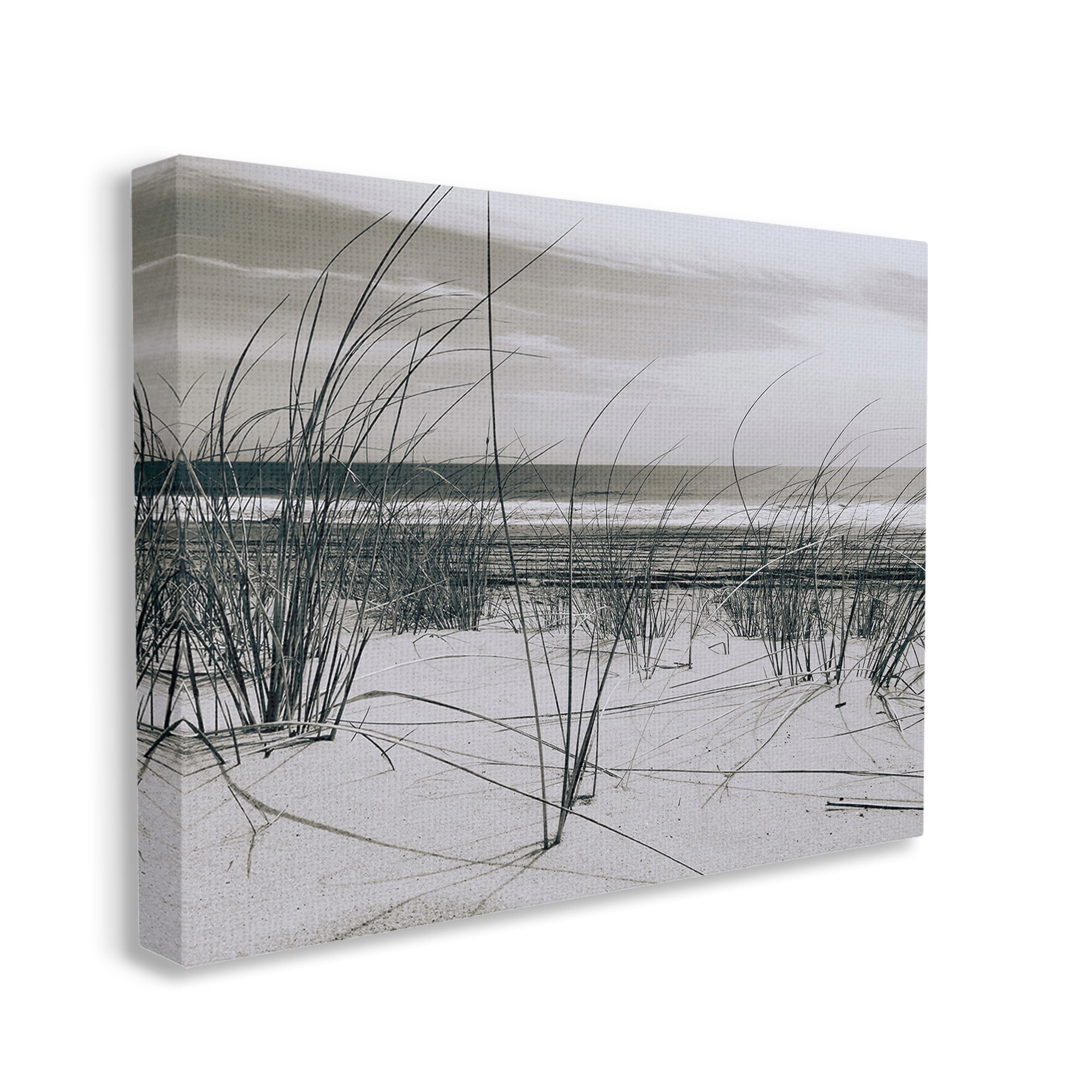 Stupell Industries Subtle Beach Reeds Landscape Photography Gallery Wrapped Canvas Art Print Wall Art, 48 x 36