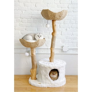 Contempo cat tree 2025