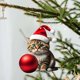 thumbnail image 1 of TQEHS Adorno navideño para árbol de Navidad con forma de gato, acrílico 2D, colgante navideño X2Q3, 1 of 6