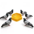 thumbnail image 4 of Compact Bird Breeding Hatching Nesting Bowls Set for Home and Farm Use Easy to Clean Small Pet Bird Supplies, 4 of 4