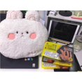 thumbnail image 5 of 40Cm Oreiller de Lapin de Bande Dessinée, Peluche Mini Poupée Mignon Oreiller Jeter Peluche Jouets Poupée Oreiller Poupée Oreiller Peluche Jouet Pudding Peluche Jouets, 5 of 5
