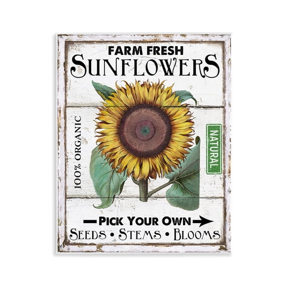 Stupell Industries Rustic Farm Fresh Sunflowers Plants & Flowers Painting Unframed Art Print Wall Art, 11 x 14