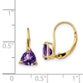 thumbnail image 2 of Primal Gold 14 Karat Yellow Gold 6mm Trillion Amethyst Leverback Earrings, 2 of 4