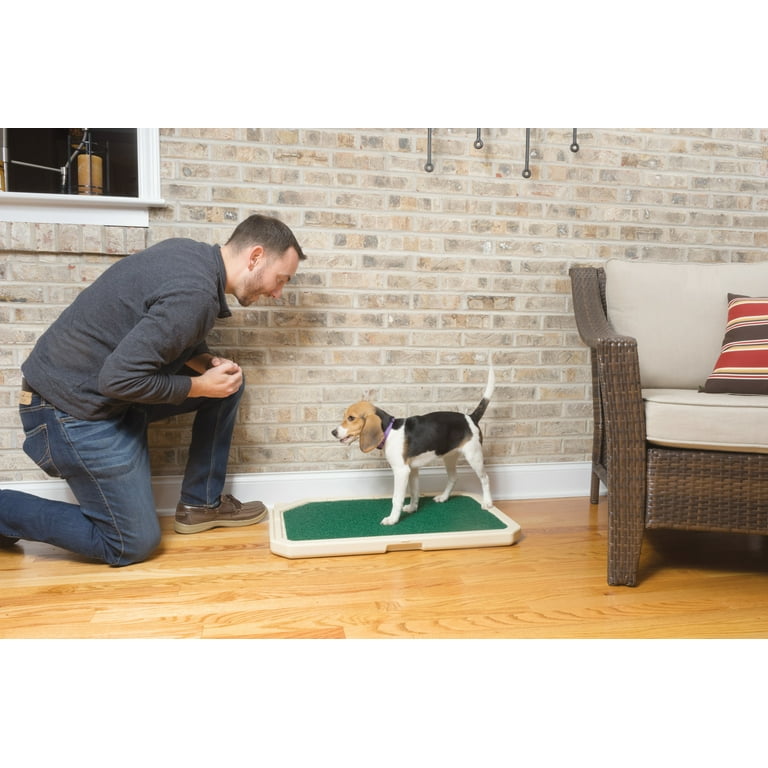 Piddle place indoor dog top & cat toilet with cover