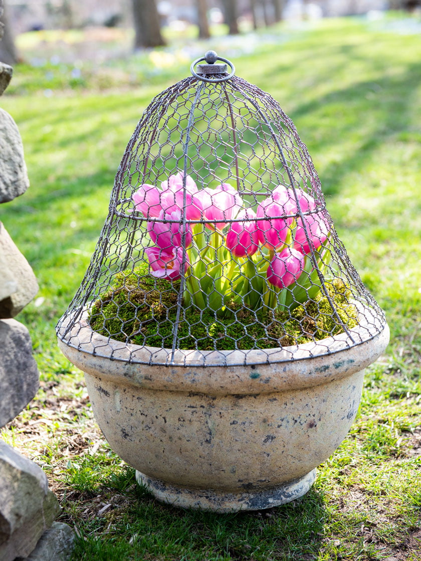 10PCS Garden Chicken Wire Cloche 13x15.7 Inch Plant Protector and
