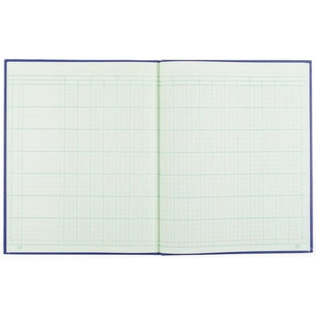 Blueline Columnar Book, Perfect Binding, 18 Columns with Description, 80 Pages, 12-1/4-Inch x 9 ...
