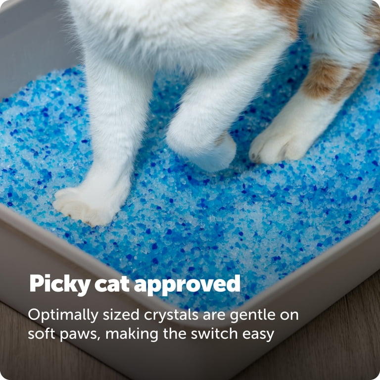 Premium Crystal Cat Litter, Fresh Scent, 2-Pack photo 8
