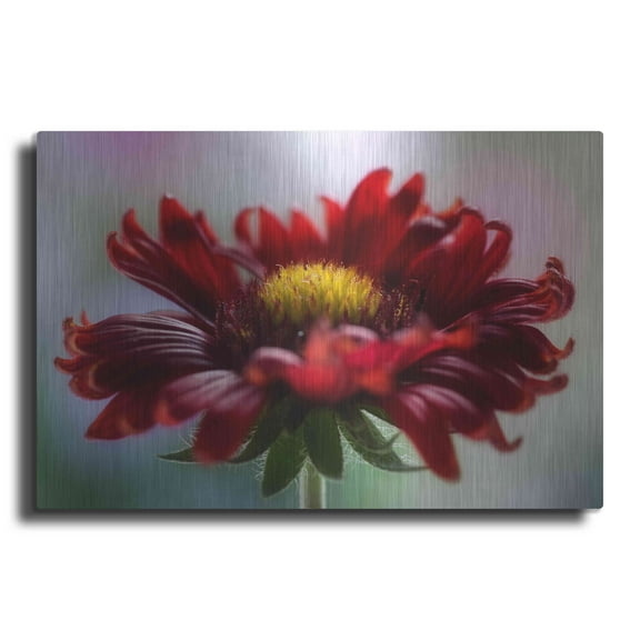 Luxe Metal Art 'Flame' by Mandy Disher, Metal Wall Art, 36"x24"