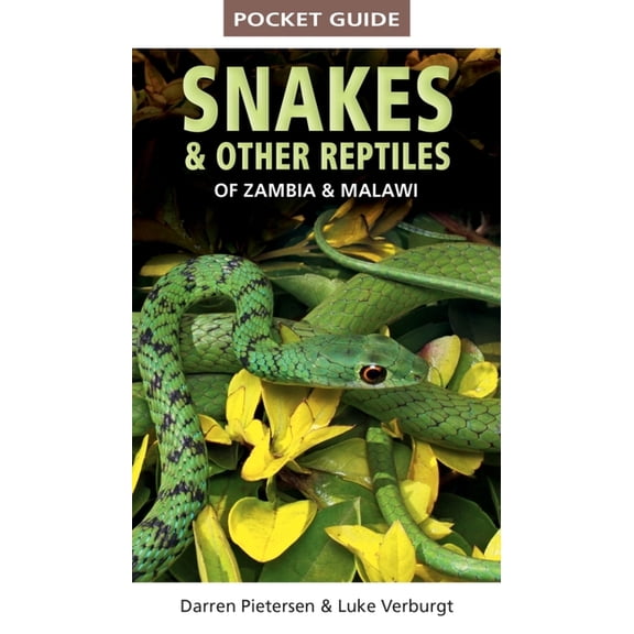 Pocket Guide to Snakes & Other Reptiles of Zambia and Malawi, (Paperback)
