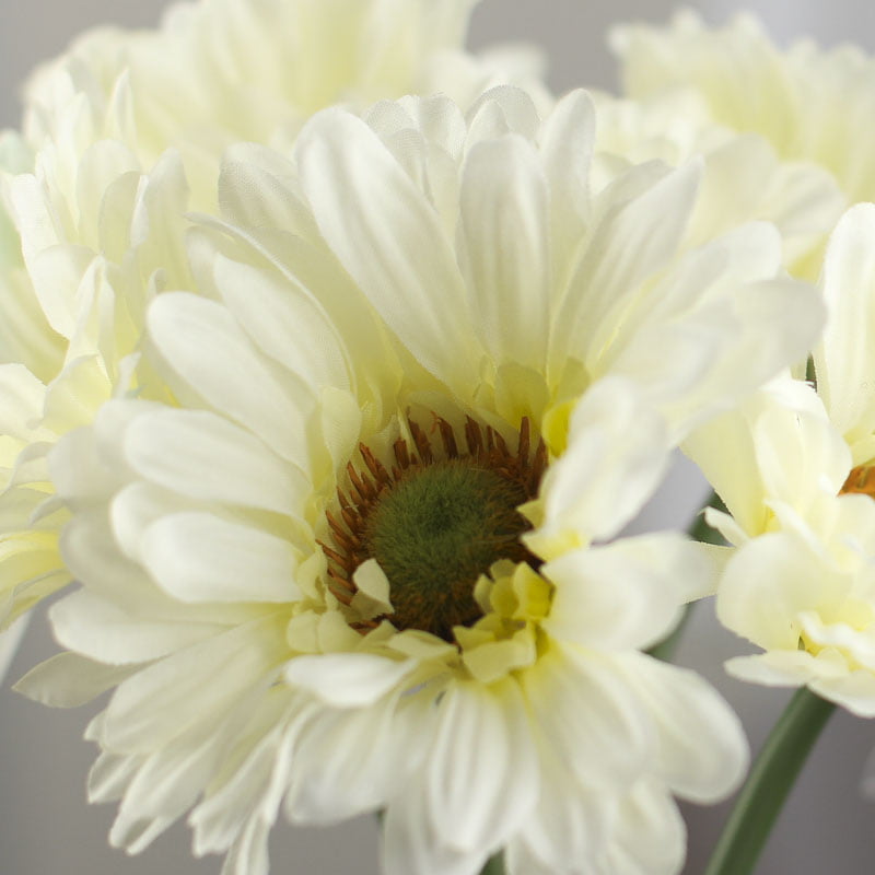 CREAM Gerbera Daisy Bundle 7 Artificial Silk Flowers 12" 8665CR 