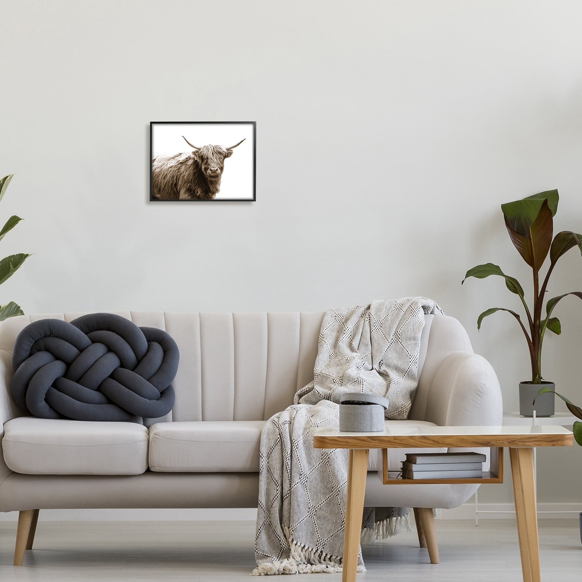 Stupell Industries Quaint Longhorn Cattle Country Animal Photography Framed Wall Art, 30 x 24, Design by Donnie Quillen
