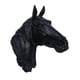 thumbnail image 3 of Estatua de cabeza de animal de resina para montar en la pared, escultura rústica realista, adorno artesanal Caballo Negro 20x22cm, 3 of 9