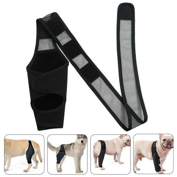 HOMEMAXS Dog Foreleg Brace Dog Leg Protector Dog Leg Cover Dog Leg Sleeve Dog Hindleg Sleeve Walmart Business Supplies