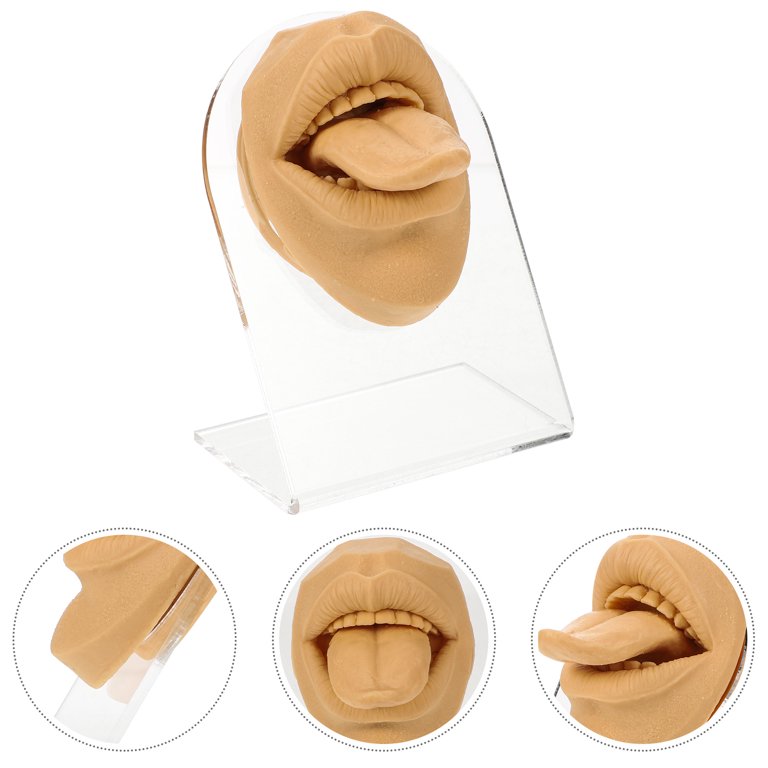 3 Colors Fake Nose Model with Mouth Silicone Human Nose Mouth Model for  Pierce Practice and Nose Stud Lip Stud Display