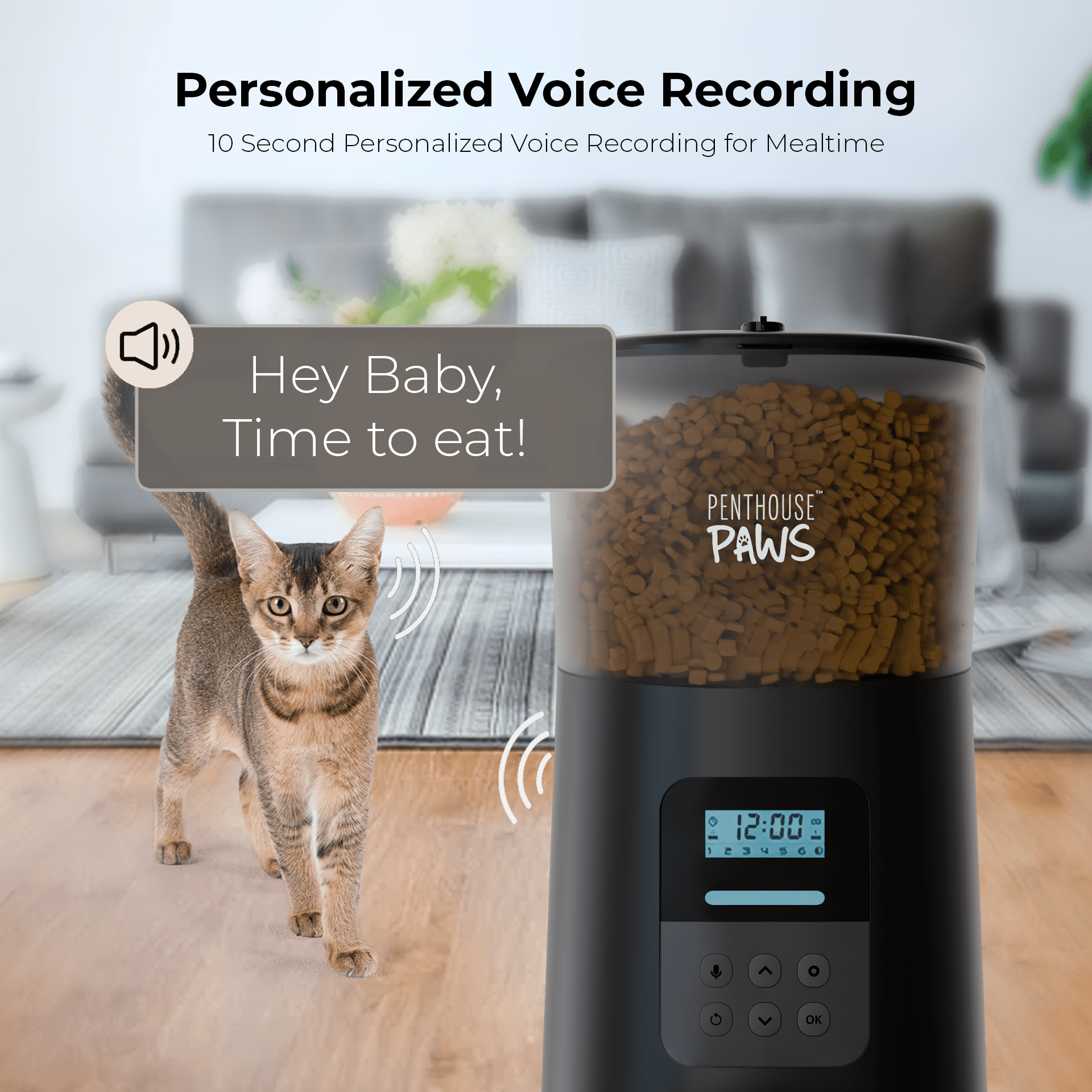Penthouse Paws Automatic Cat Feeder with LCD, Twist-Lock Storage, Anti-Jam, Voice Meal Call, Battery Backup, Stainless Steel Bowl, Up to 15 Daily Meals, Single Tray 6L for Cat & Dog, Black/ Stainless