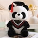thumbnail image 4 of Juguete conmemorativo de graduación Bufanda de médico Muñeco panda Bufanda de panda Juguete Decoración de graduación para la temporada de graduaciones, 4 of 7