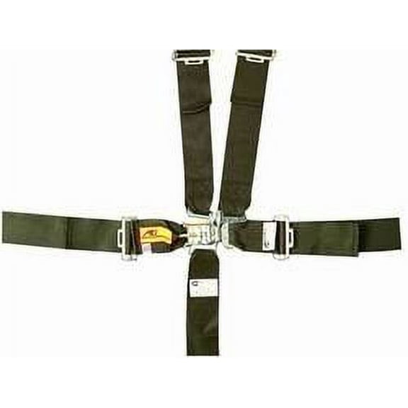 RCI 9210C Blue 5-Point Harness