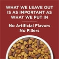 thumbnail image 3 of Purina Dog Chow Dry Dog Food, Complete Adult With Real Beef, 48 lb. Bag, 3 of 9