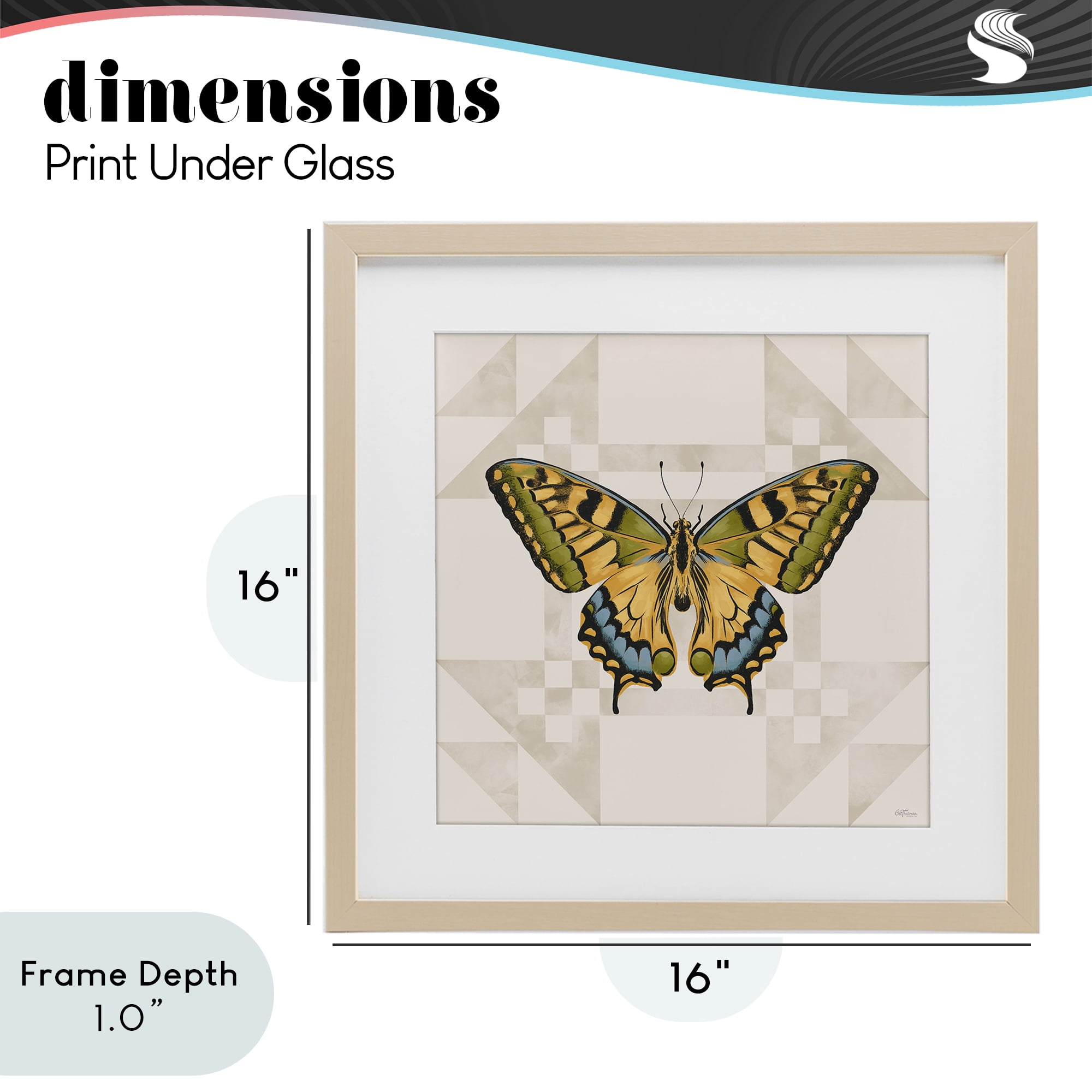 Stupell Industries Green Swallowtail Butterfly Birch Framed Print Under Glass, design by Cat Thurman Designs