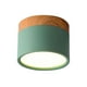 thumbnail image 1 of Lámpara de techo LED empotrable Yuyangstore de madera montado en superficie Verde, 1 of 8