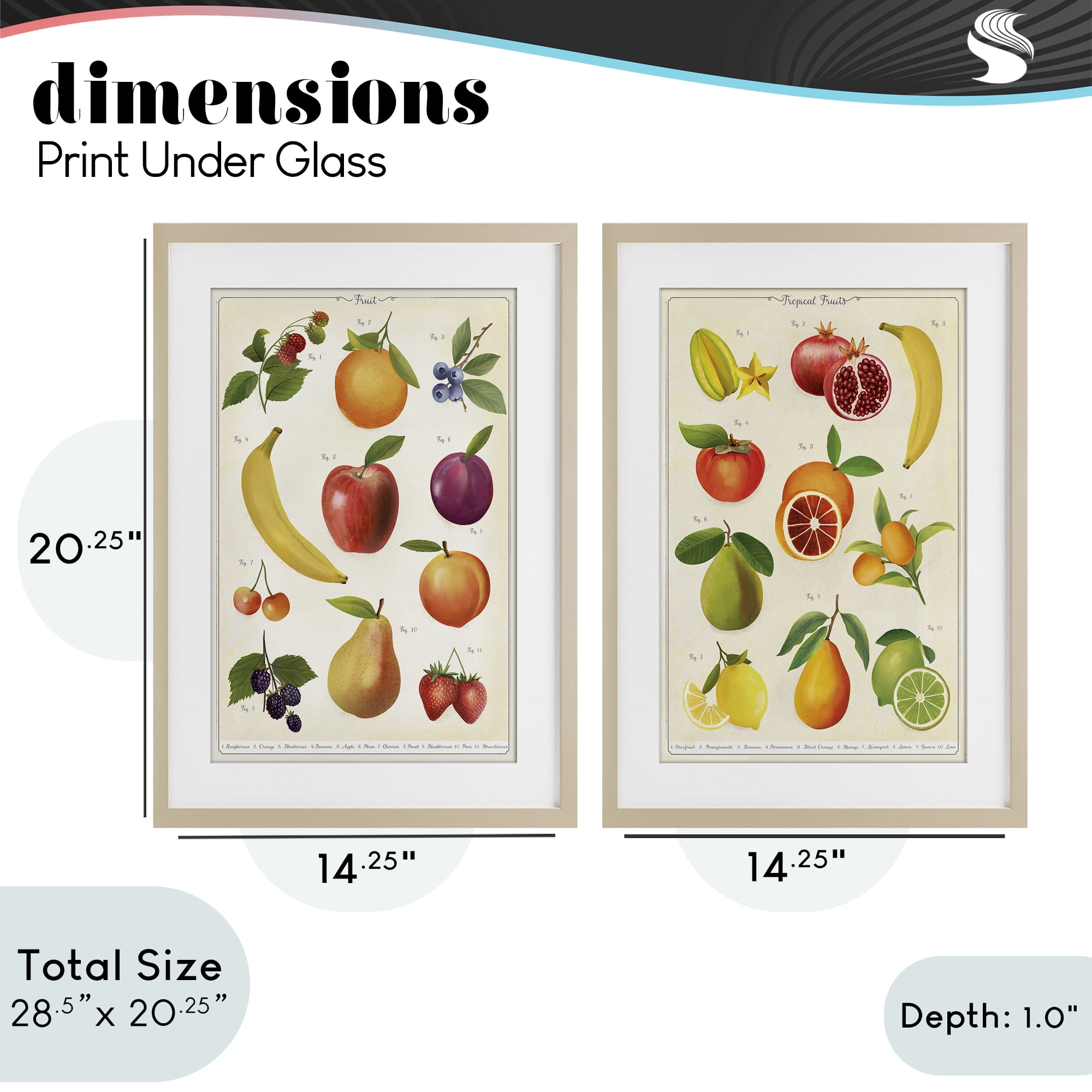 Stupell Industries Kitchen Studies Fruit 2 Piece Birch Framed Print Under Glass Set, design by Diane Neukirch