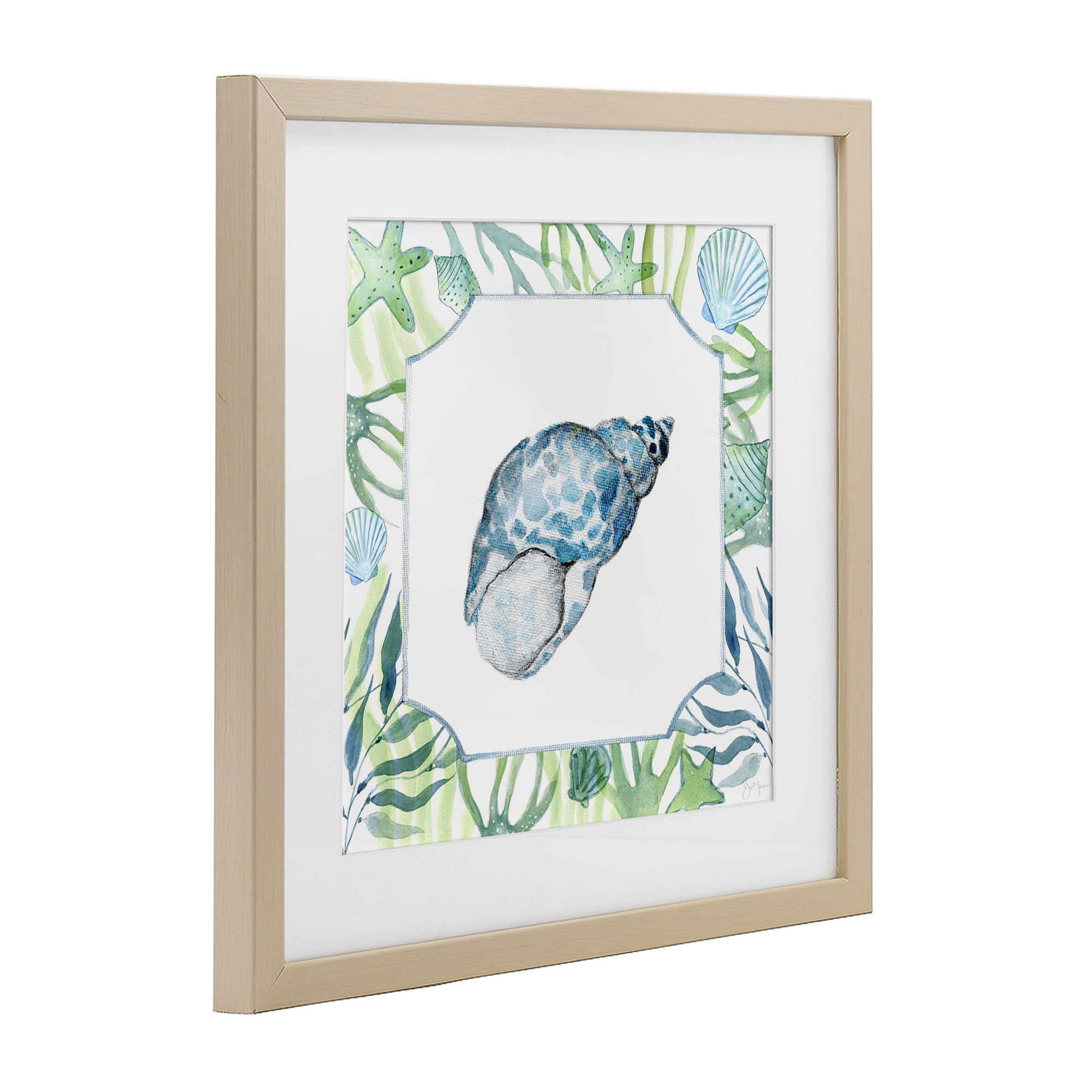Stupell Industries Spotted Cowrie with Seaweed Birch Framed Print Under Glass, design by Janet Tava