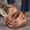 Khaki, variant on Eltusu Women Wedge Slide Sandals, Non-Slip Comfort Soft Bottom Open Toe Ladies Shoes Beige Size 9