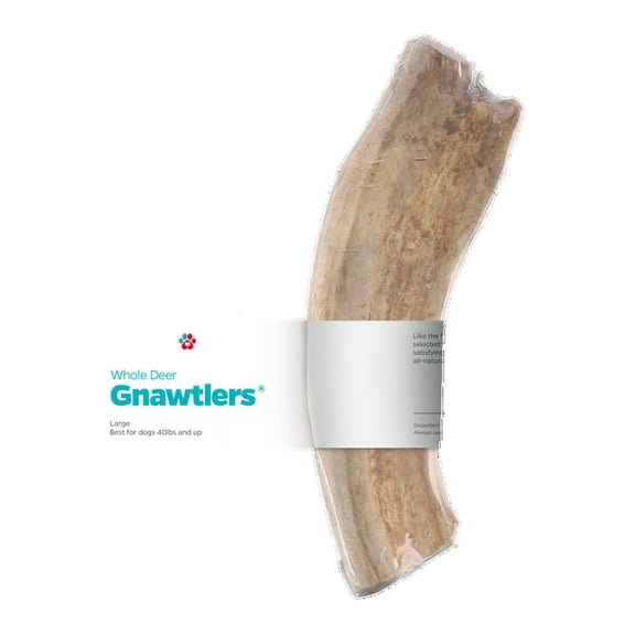 Pet Parents® Gnawtlers® Naturally Shed Deer Antlers, Deer Antlers for Dogs, Large