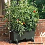 نظام البستنة حاوية EarthBox - أخضر