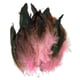 thumbnail image 1 of Moyic 50 Uds plumas de gallo naturales exquisita artesanía accesorios salvajes y elegantes plumas de pollo Boho Tela de costura y artesanía Rosa, 1 of 5