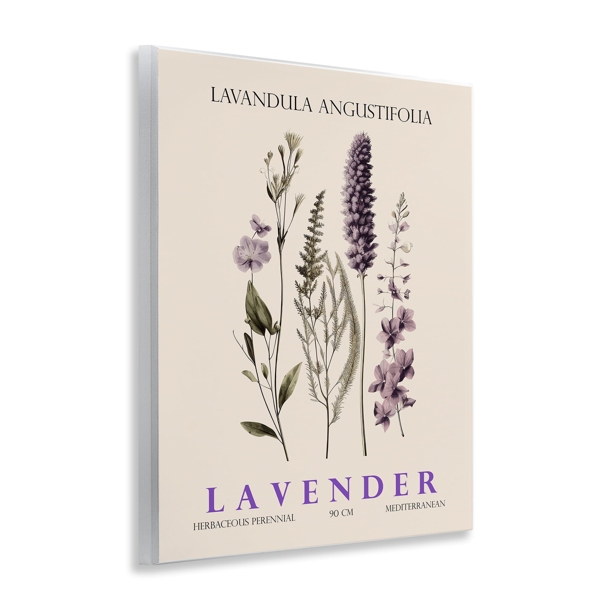 Stupell Industries Natural Lavender Bundle Wall Plaque Art, design by Christopher Giampietro