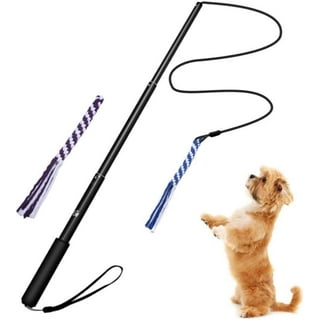 Petsmart flirt pole hotsell