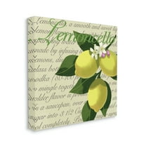 Lemoncello Text Blooming Floral Lemon Branch Traditional Script Food & Beverage Gallery-Wrapped Canvas Print Wall Art, 17x17