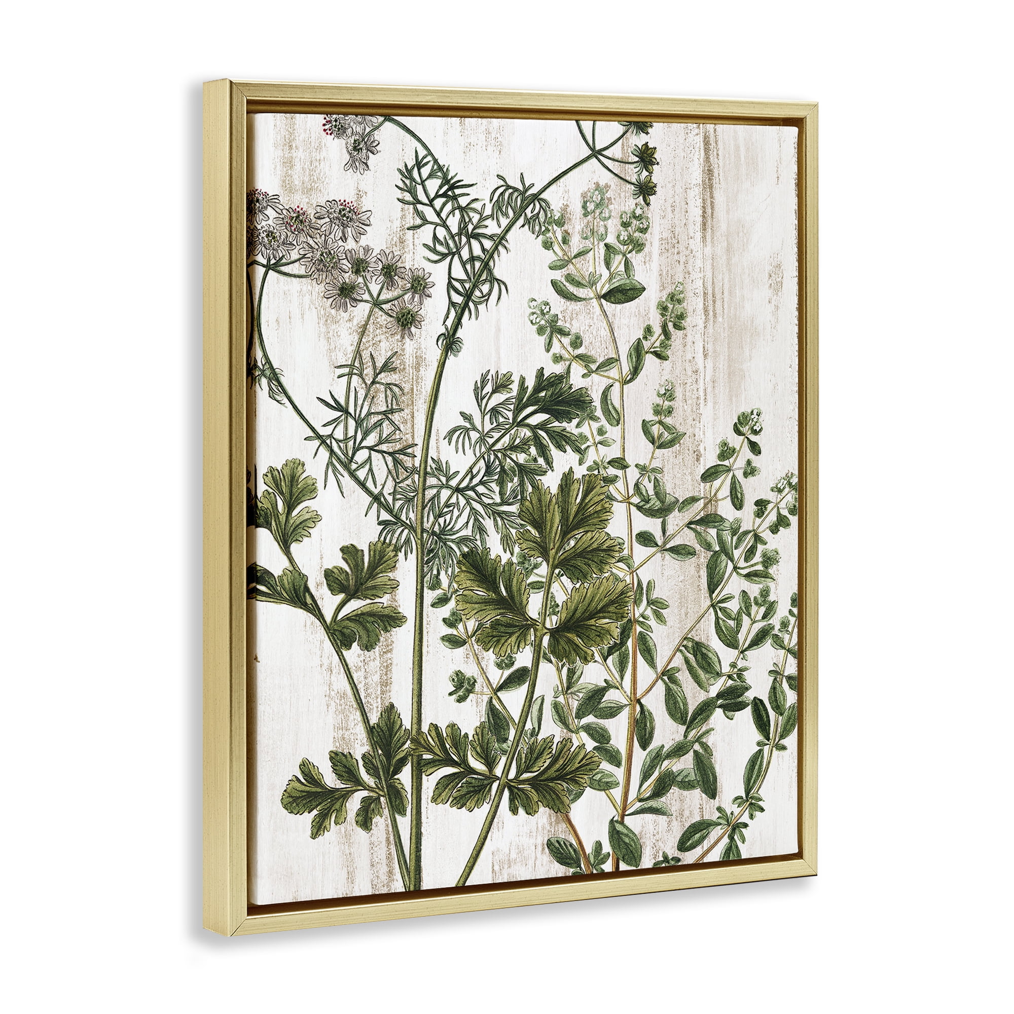 Stupell Industries Botanical Greenery Pattern Botanical & Floral Painting Gold Floater Framed Art Print Wall Art, 17 x 21