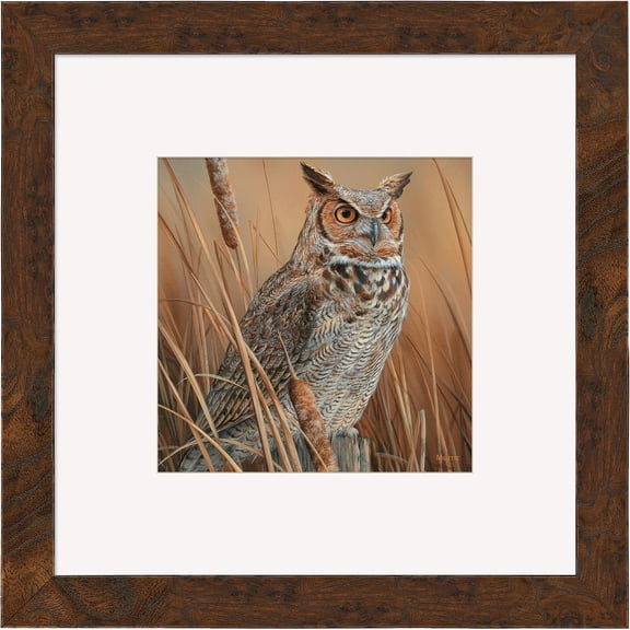 Great Horned Owl
