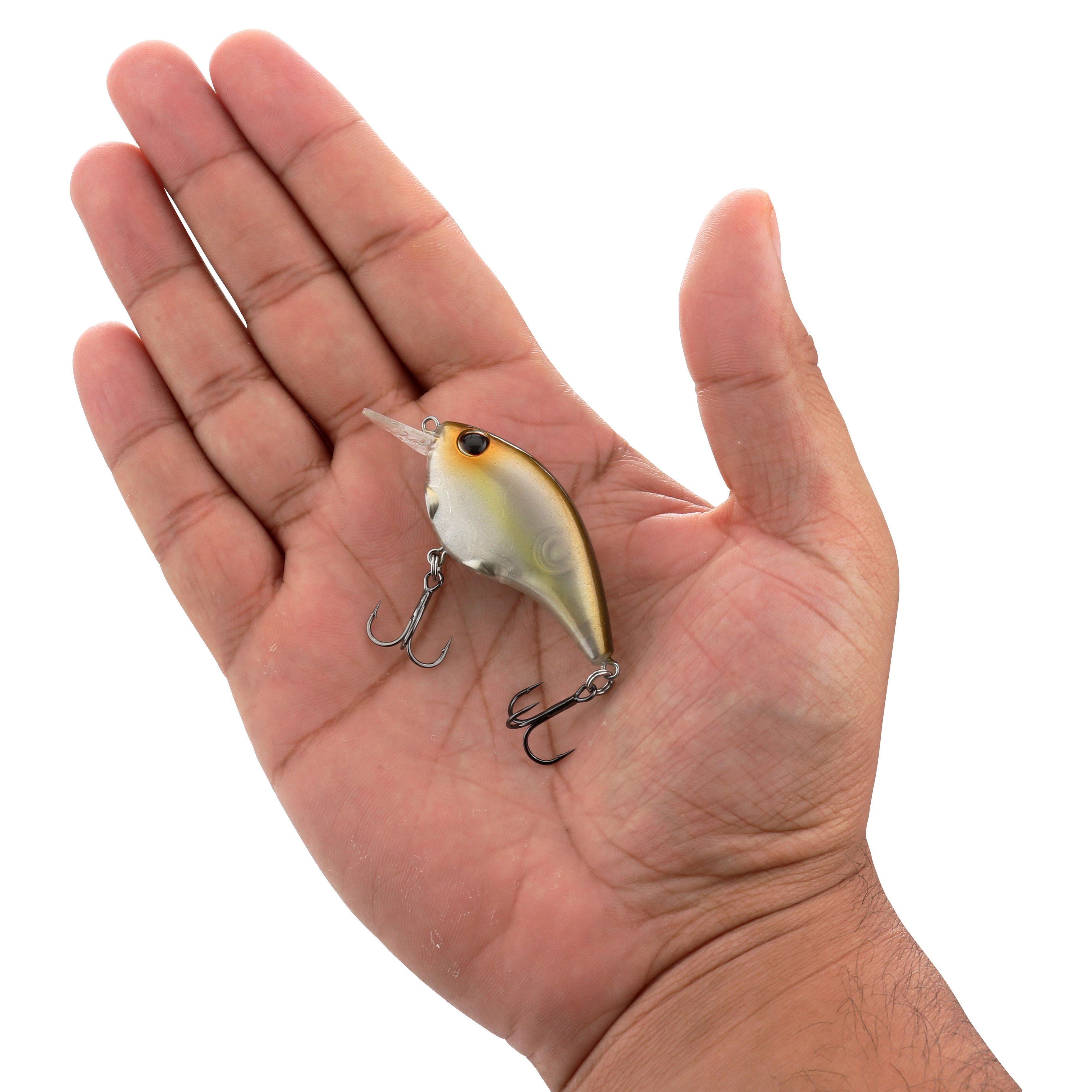 Berkley Clickin’ Frittside Lure, Ghost Morning Dawn, 5 Junior (1/4 oz)