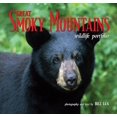 thumbnail image 1 of Great Smoky Mountains Wildlife Portfolio, 1 of 1