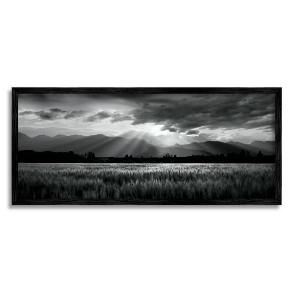 Stupell Industries Sun Rays Field Landscape Landscape Photography Black Framed Art Print Wall Art, 24 x 10