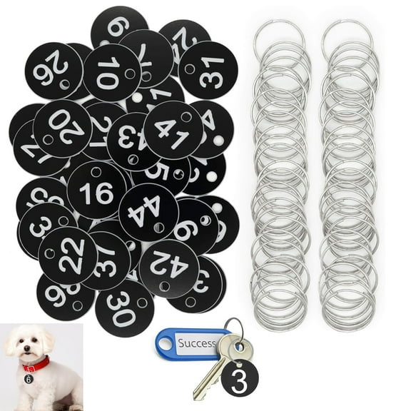 30 Pack 1-30 Plastic Numbers Tags with Key Rings,Tutuviw 1.3 inches Numbered Keychain Tags for Dormitory Keys House Lockers ,Rond Number Tags Labels for Chain Box Cabinet Lockers