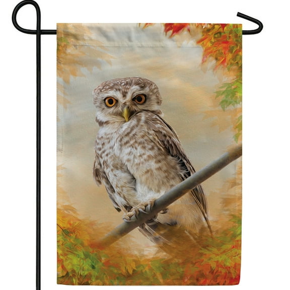 America Forever Fall Owl Garden Flag, 12.5 x 18 inches Double Sided, Welcome Autumn Owl Flag, Fall Maple Leaves Autumn Decorations, Outdoor Flag for Yard, Lawn, and Garden