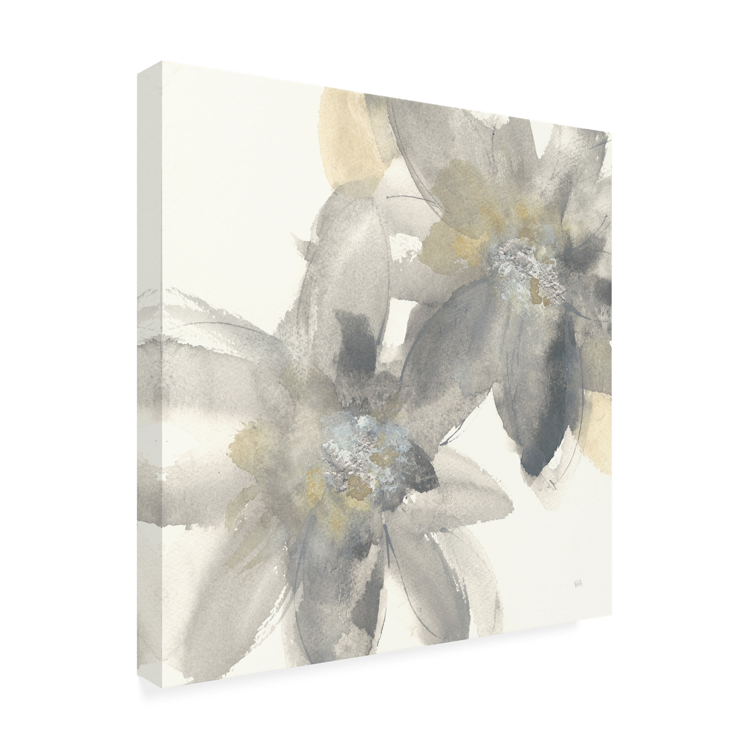Trademark Fine Art Chris Paschke Gray and Silver Flowers II Canvas Wall Art - 35x35